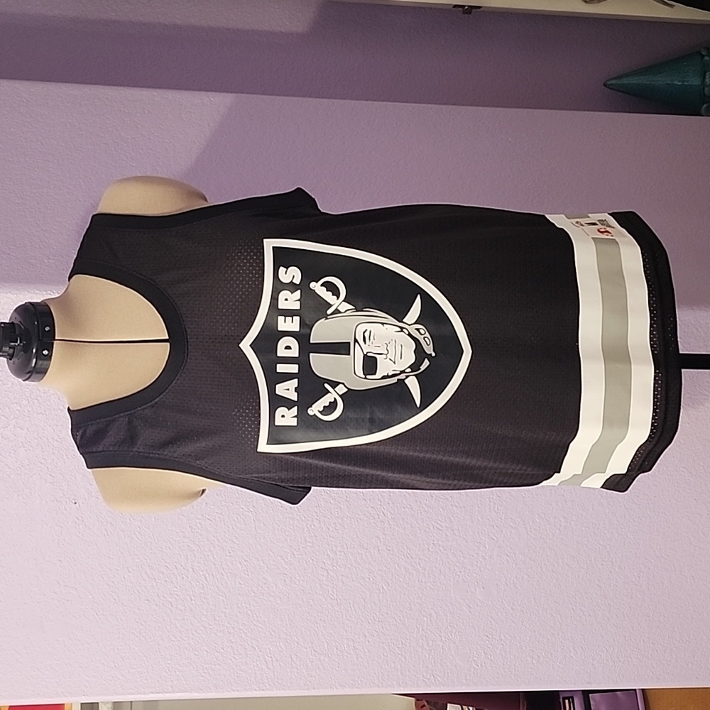 NWOT Mitchell & Ness Nostalgia Co NFL Raiders Sleeveless Jersey